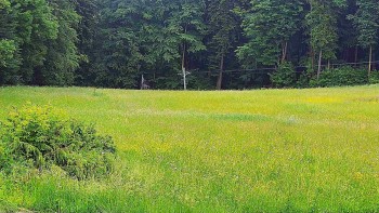 SkiAreál - Horský hotel...