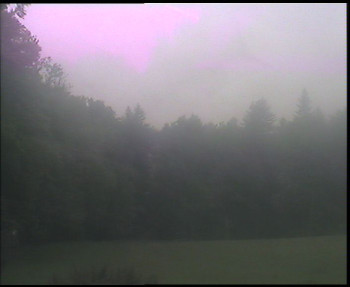 Snímek    15.5.2025 v 08:15