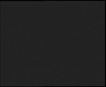 Snímek    13.9.2025 v 21:15
