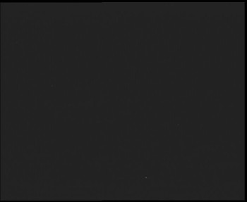 Snímek    19.9.2025 v 00:45