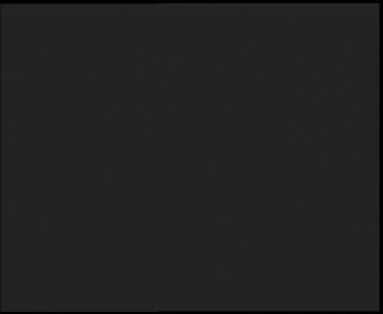 Snímek    25.10.2025 v 05:00