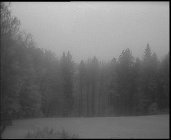 Snímek    29.10.2025 v 06:30