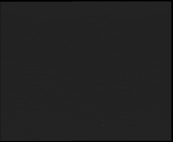 Snímek    2.11.2025 v 05:00