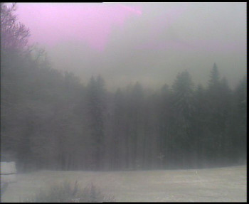 Snímek 18.11.2025 v 08:30