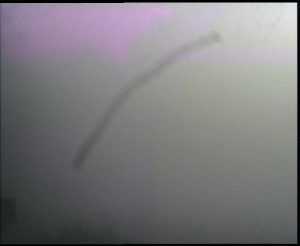 SkiAreál - Horský hotel Vsacký Cáb - Panorama z Vsackého Cábu - 12.12.2025 v 10:45 SkiAreál - Horský hotel Vsacký Cáb - Panorama z Vsackého Cábu - 12.12.2025 v 10:45