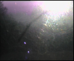 Panorama z Vsackého Cábu