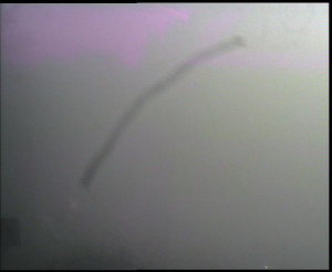 SkiAreál - Horský hotel Vsacký Cáb - Panorama z Vsackého Cábu - 20.12.2025 v 11:45