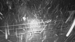 Panorama z Vsackého Cábu