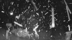 Panorama z Vsackého Cábu