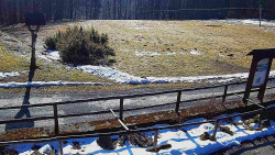 Panorama z Vsackého Cábu