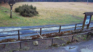 SkiAreál - Horský hotel Vsacký Cáb - Panorama z Vsackého Cábu - 17.3.2026 v 14:00