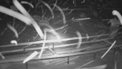 Panorama z Vsackého Cábu