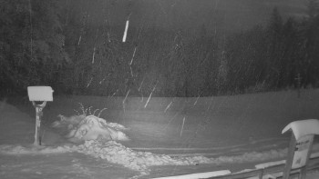 SkiAreál - Horský hotel...