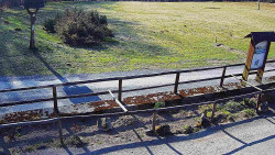 Panorama z Vsackého Cábu