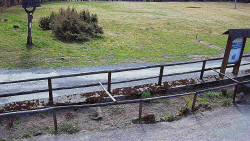 Panorama z Vsackého Cábu