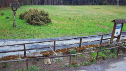 Panorama z Vsackého Cábu