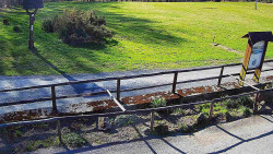 Panorama z Vsackého Cábu