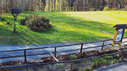 Panorama z Vsackého Cábu