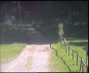 SkiAreál - Horský hotel Vsacký Cáb - Nástup na běžecké tratě - 15.6.2025 v 09:45