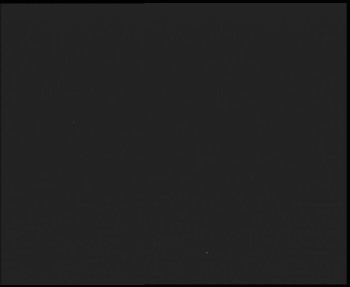 Snímek    13.9.2025 v 04:15