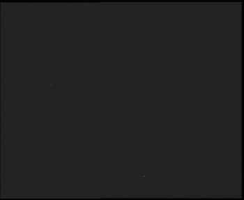 Snímek    14.9.2025 v 00:45
