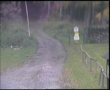Snímek    19.10.2025 v 11:00