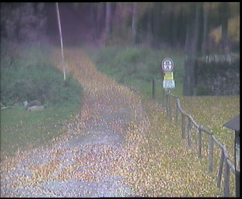 Snímek    21.10.2025 v 10:30