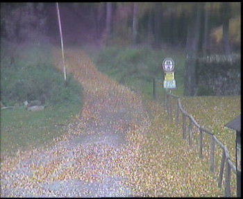 Snímek    21.10.2025 v 11:15