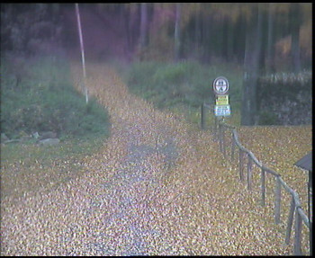 Snímek    23.10.2025 v 13:30
