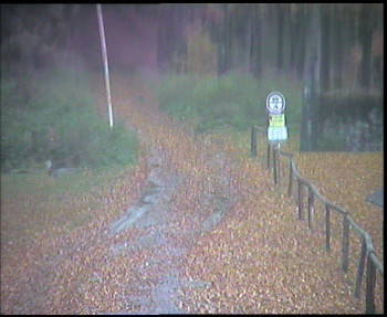 Snímek    25.10.2025 v 07:45