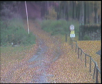 Snímek    25.10.2025 v 10:00