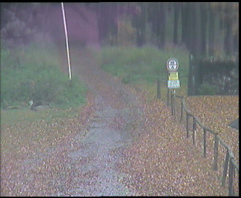 Snímek    28.10.2025 v 10:30