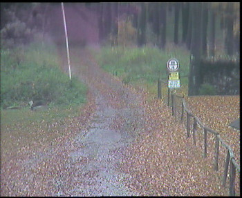 Snímek    28.10.2025 v 11:00