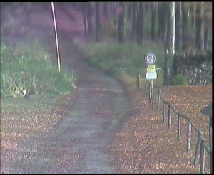 SkiAreál - Horský hotel Vsacký Cáb - Nástup na běžecké tratě - 29.10.2025 v 10:45 SkiAreál - Horský hotel Vsacký Cáb - Nástup na běžecké tratě - 29.10.2025 v 10:45