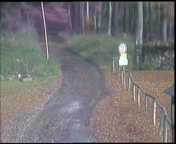 Snímek    29.10.2025 v 12:00