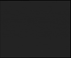 Nástup na běžecké tratě