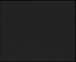 Nástup na běžecké tratě