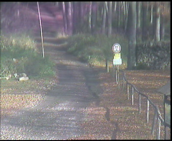 Snímek    31.10.2025 v 11:15