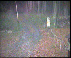 Nástup na běžecké tratě