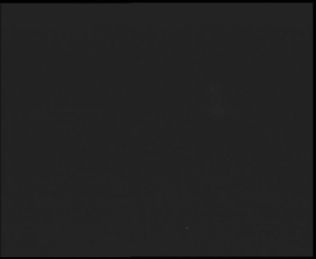 Snímek    31.10.2025 v 17:00