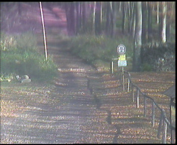 Snímek    1.11.2025 v 11:00