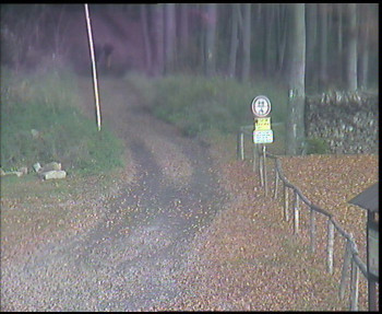 Snímek    1.11.2025 v 12:00