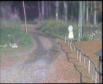 Snímek    1.11.2025 v 13:00