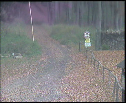 Nástup na běžecké tratě