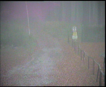 Snímek    3.11.2025 v 07:15