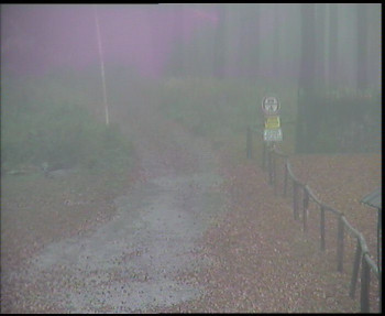 Snímek    3.11.2025 v 11:00