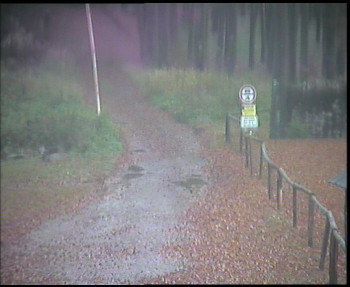 Snímek    4.11.2025 v 07:00