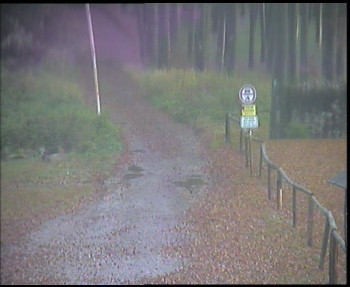 Snímek    4.11.2025 v 07:15