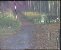 Nástup na běžecké tratě