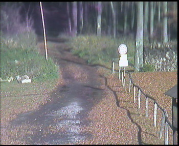 Snímek    4.11.2025 v 13:00